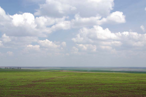 Сыртовая равнина в Саратовской области